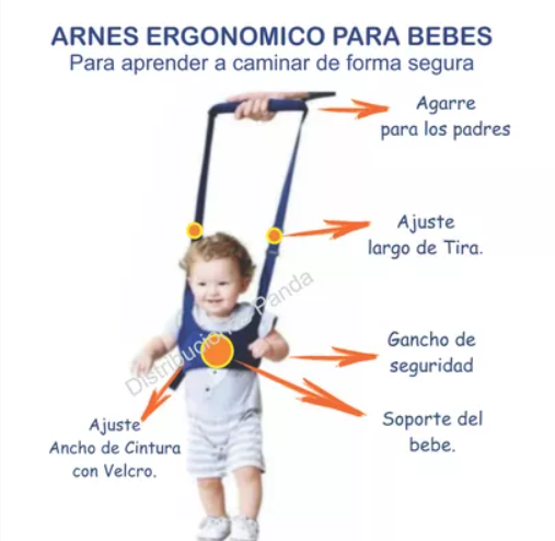 Primero pasos firmes y felices: descubre el arnés ideal para tu bebé